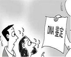 福州司法DNA鉴定哪里办理，福州司法亲子鉴定需要什么手续