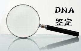 哪里可以做亲子鉴定？